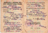 adoption documents